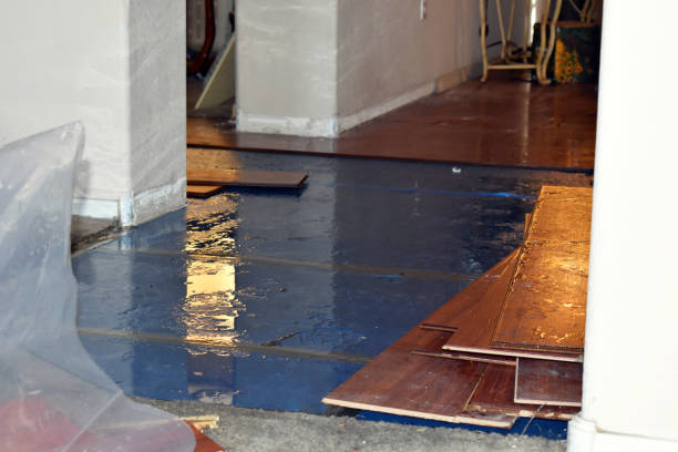 Professional Water Damage Restoration technician working in Franklin Grove, IL